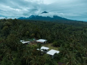 The Amerta Jungle Retreat