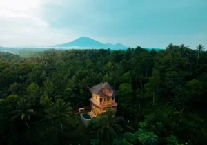 Green Oasis Retreats